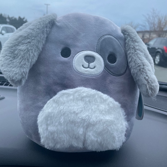 Meet your Posher, Posh - Picture 1 of 1